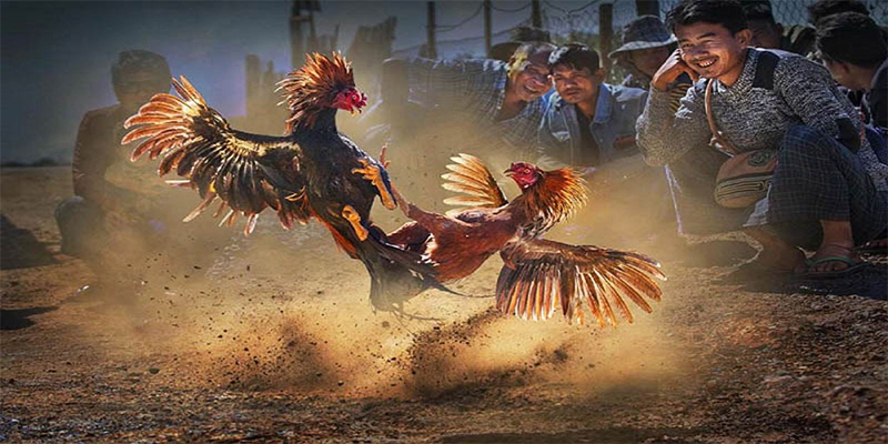 vin77722 đăng nhập roulette số 1
