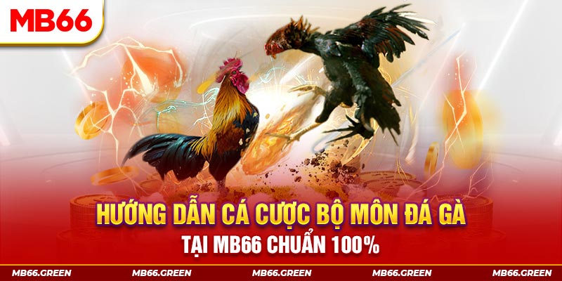 vin77722 xổ số bình định