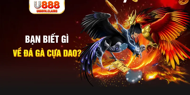 vin77722 xổ số kiến thiết