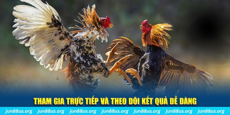 vin77722 đá gà trực tiếp bình luận viên