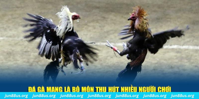 vin77722 xổ số cà mau