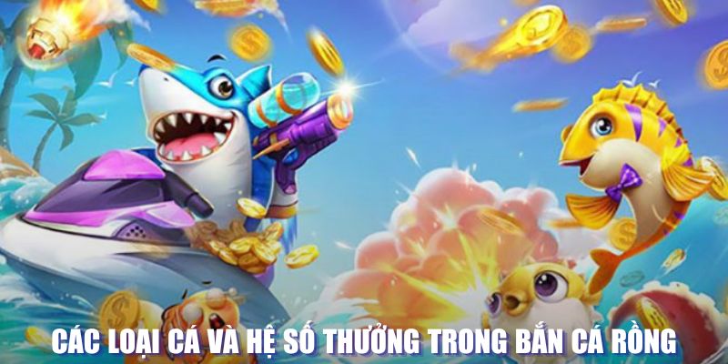 vin77722 loi game dot kich ket noi may chu that bai