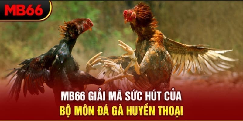 vin77722 Phi Đội Ưu Tú