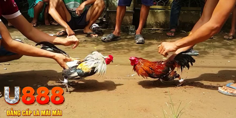 vin77722 đăng nhập mậu binh rút tiền nhanh