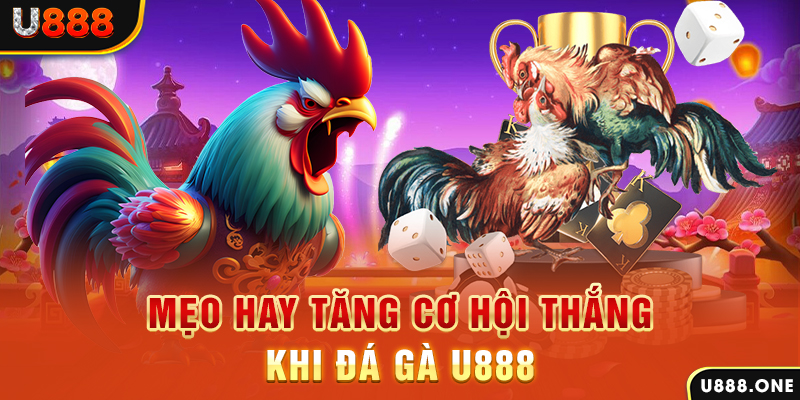 vin77722 trực tiếp gà chọi c1