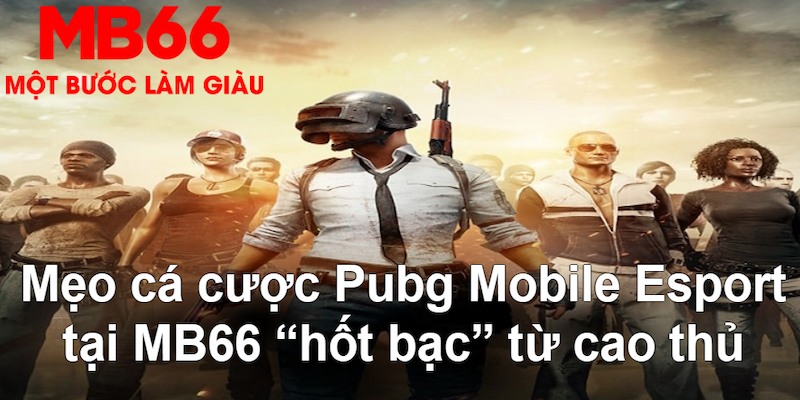 vin77722 gà chọi mộc hóa