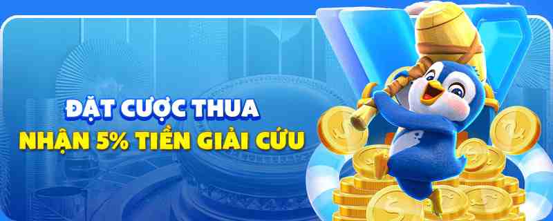 vin77722 gà chọi cu cần
