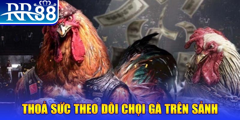 vin77722 đá gà 88.com